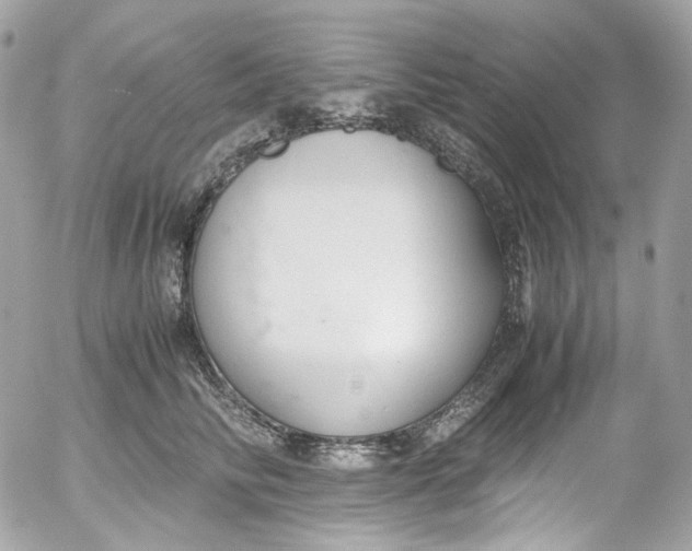 X0000052550710200507221451