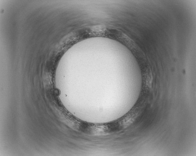 X0000052550711200507221451