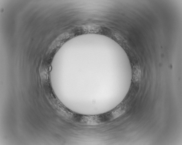 X0000052550713200507221451