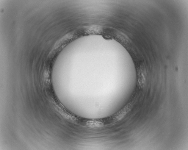 X0000052550714200507221451