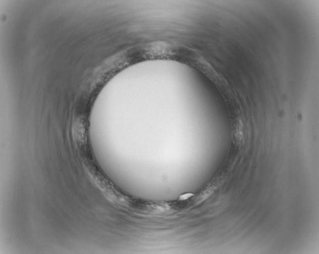 X0000052550715200507221451