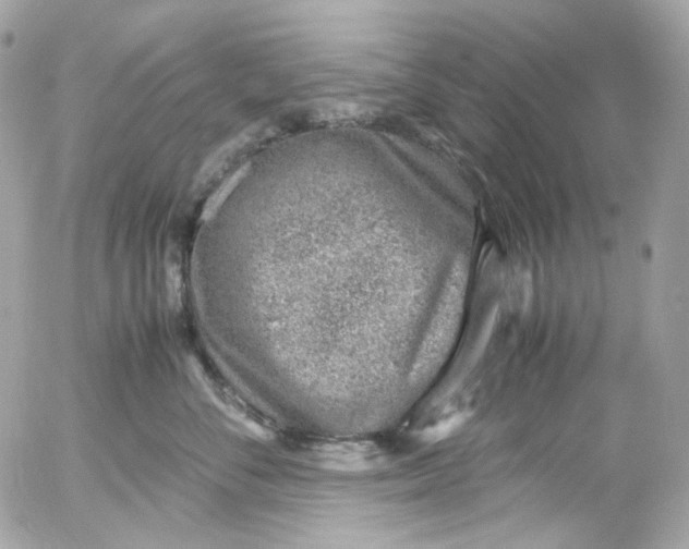 X0000052550716200507221451