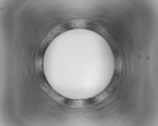 X0000052550717200507221451