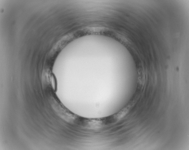 X0000052550718200507221451