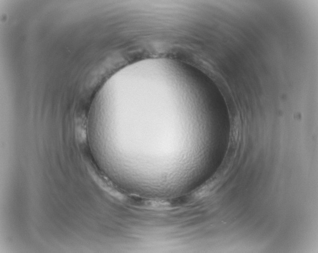 X0000052550719200507221451