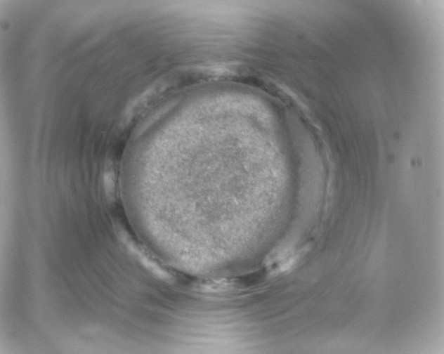 X0000052550720200507221451