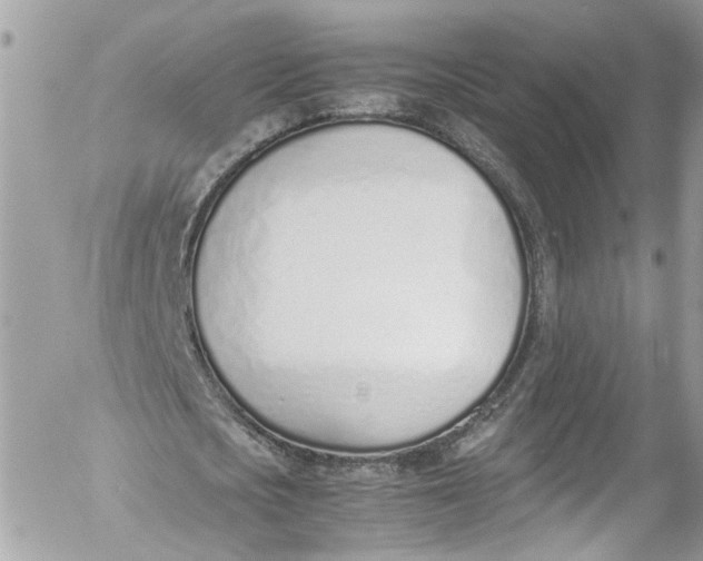 X0000052550721200507221450