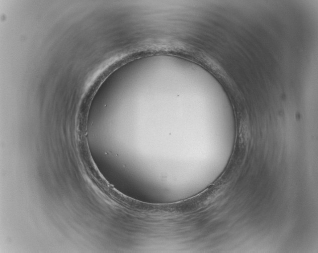 X0000052550722200507221450