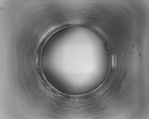 X0000052550723200507221450