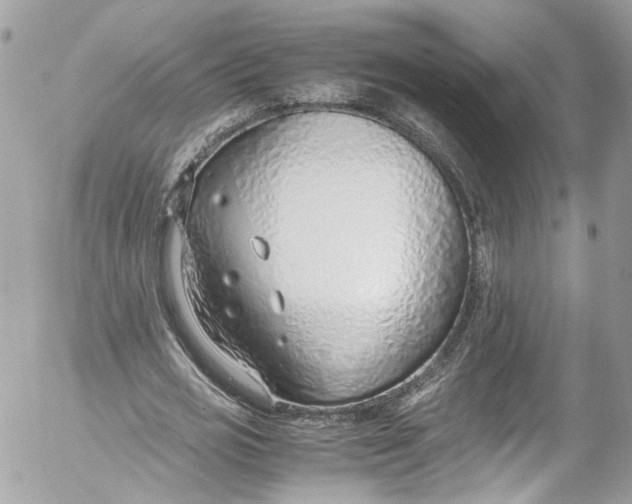 X0000052550725200507221450