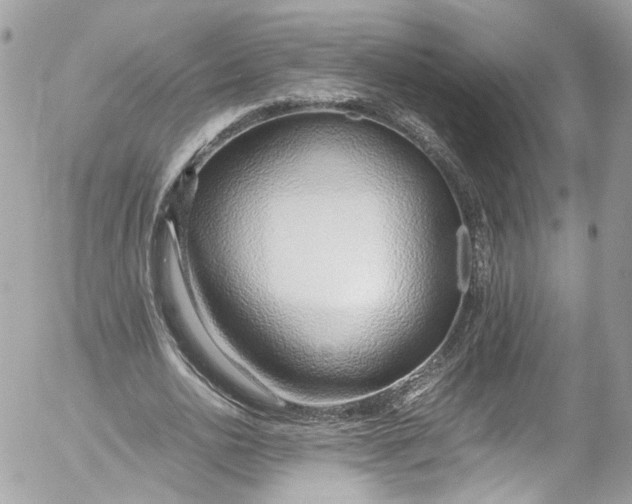 X0000052550726200507221450