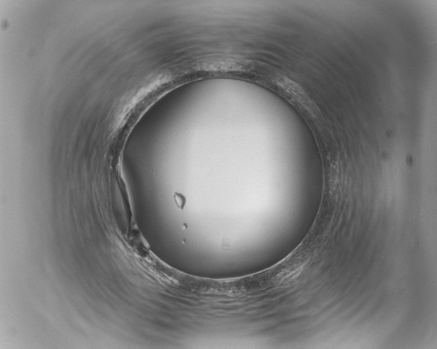 X0000052550727200507221450