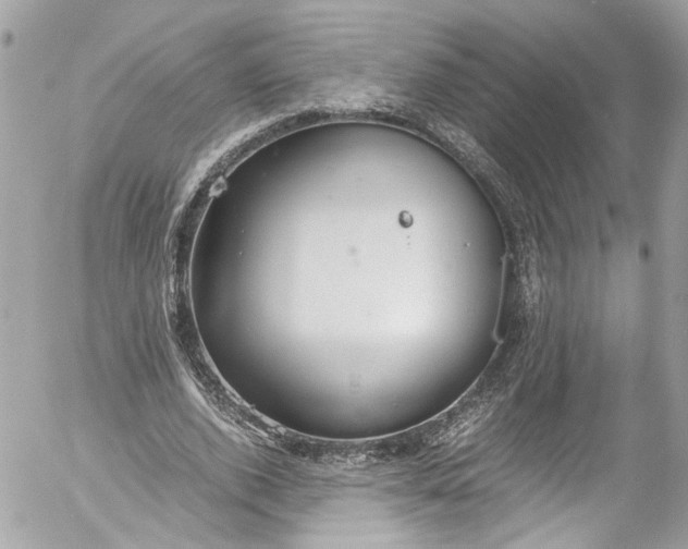 X0000052550728200507221450