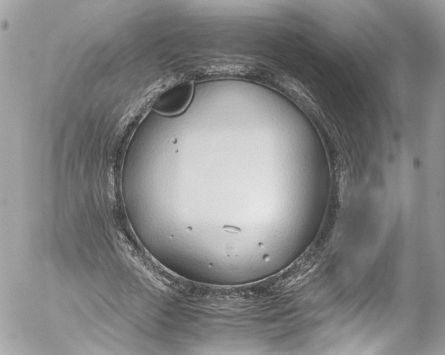 X0000052550729200507221450