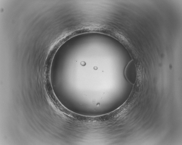 X0000052550730200507221450