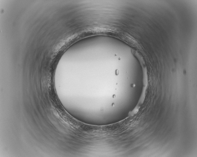 X0000052550732200507221450