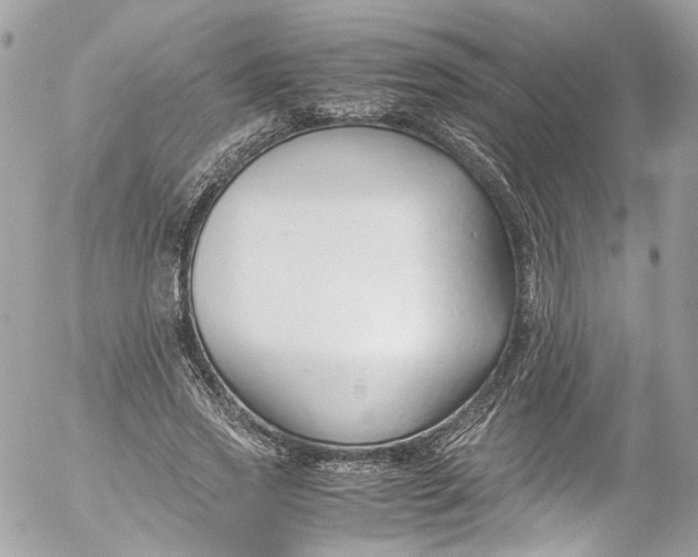 X0000052550733200507221450