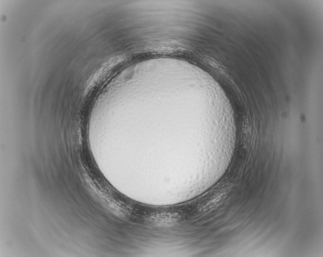 X0000052550734200507221450