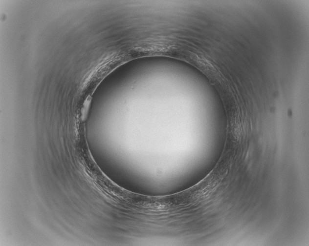 X0000052550735200507221450