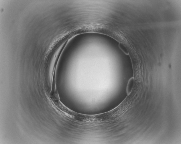 X0000052550736200507221450