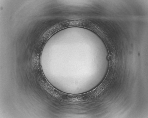 X0000052550737200507221450