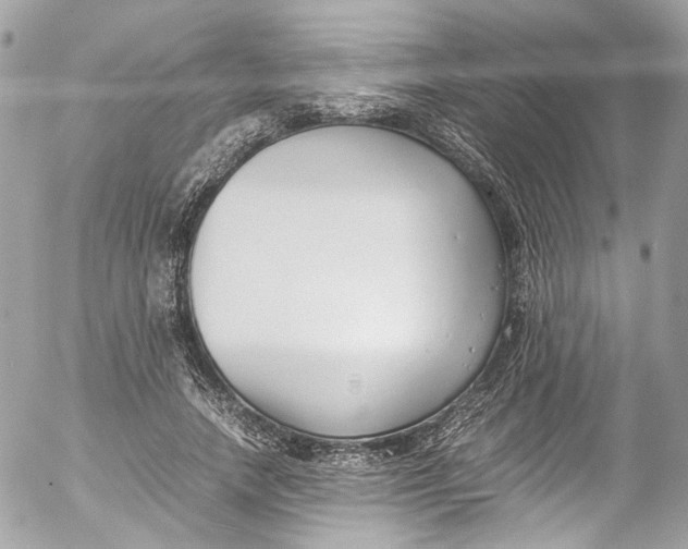 X0000052550738200507221450