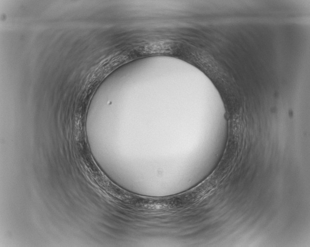 X0000052550741200507221450