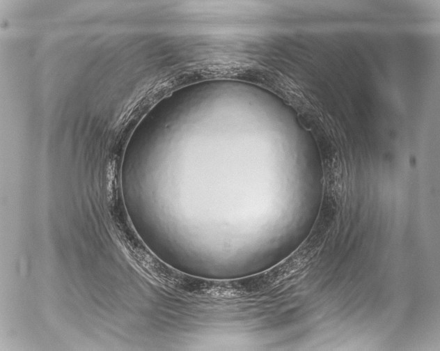 X0000052550742200507221450