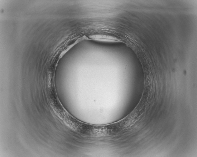 X0000052550744200507221450