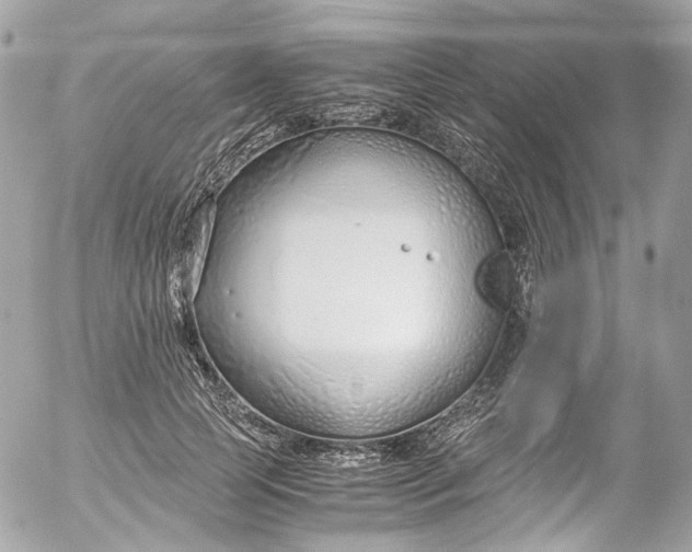 X0000052550745200507221450