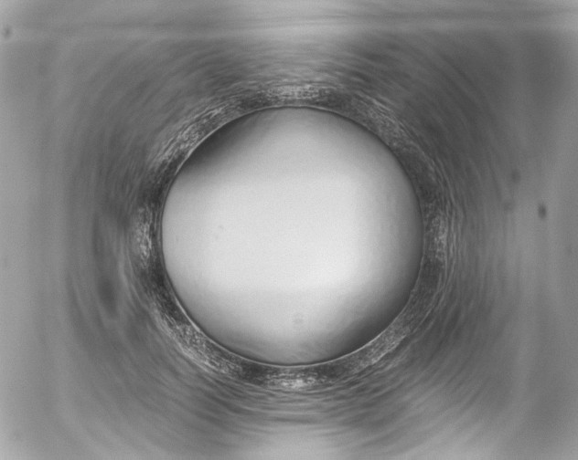 X0000052550746200507221450