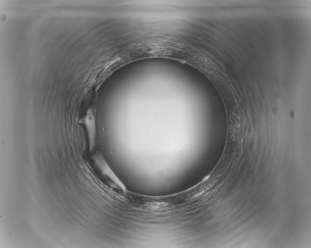 X0000052550748200507221450