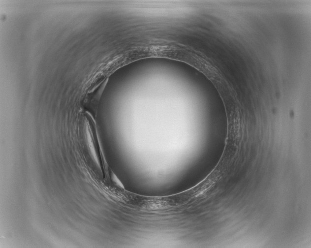 X0000052550750200507221450