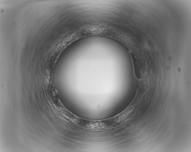 X0000052550752200507221450