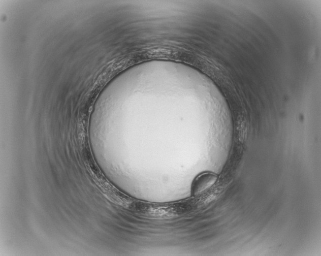 X0000052550753200507221450