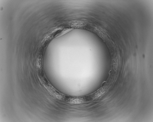 X0000052550755200507221450