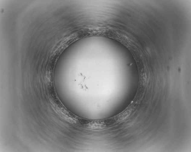 X0000052550756200507221451