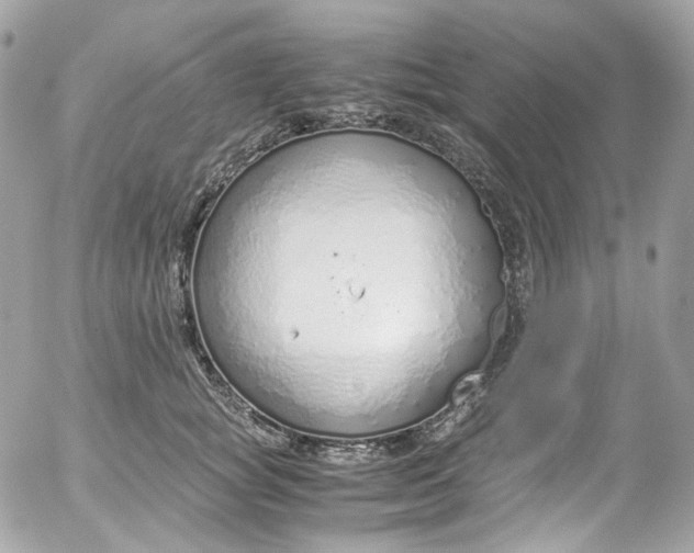 X0000052550757200507221451