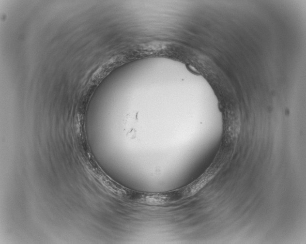 X0000052550758200507221451