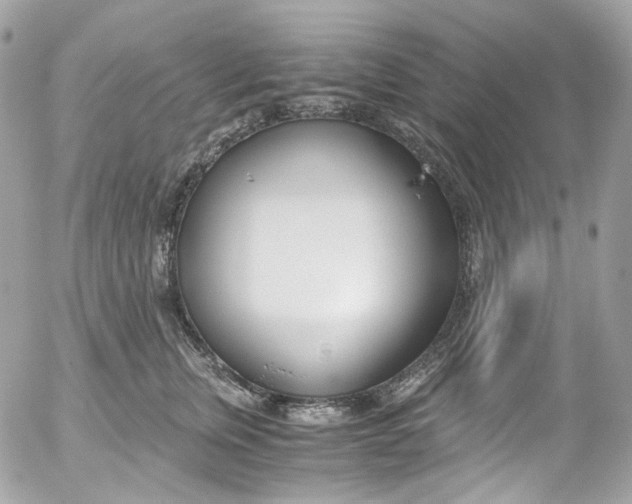 X0000052550759200507221451