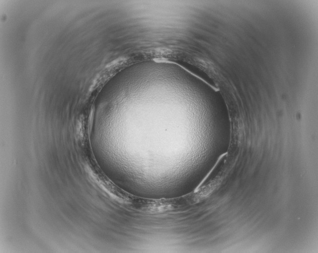 X0000052550760200507221451