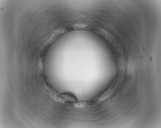 X0000052550761200507221451