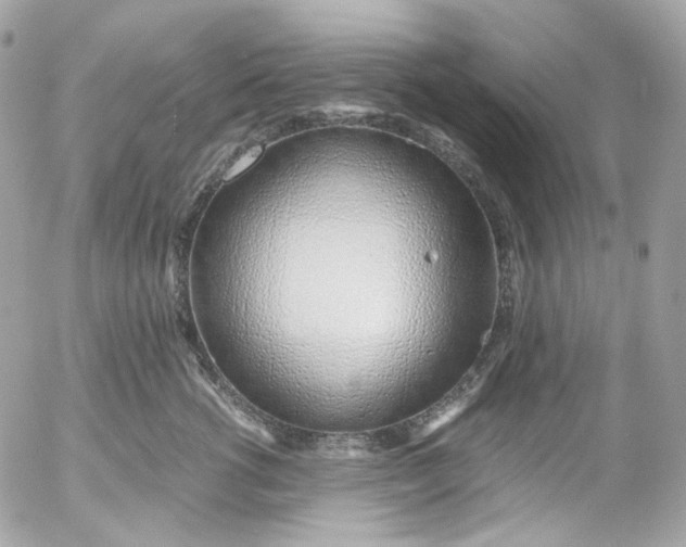 X0000052550762200507221451