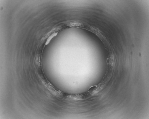 X0000052550763200507221451