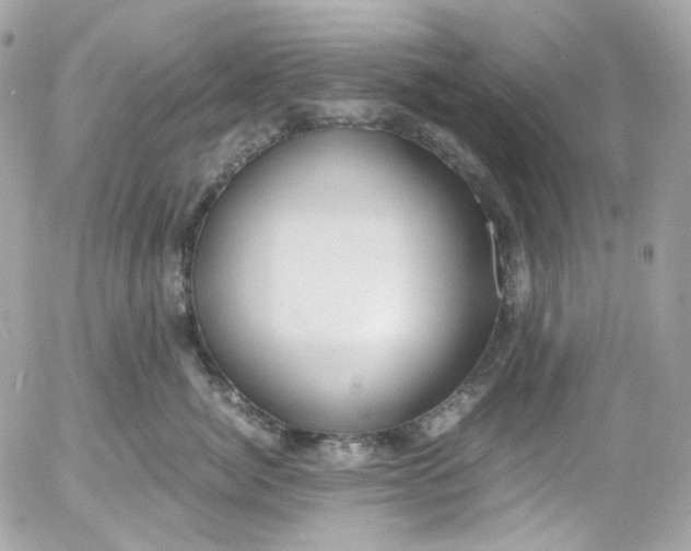 X0000052550764200507221451