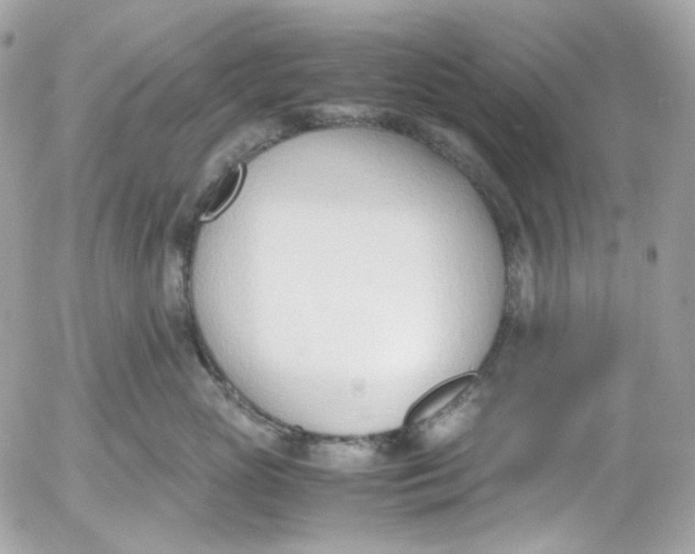 X0000052550765200507221451