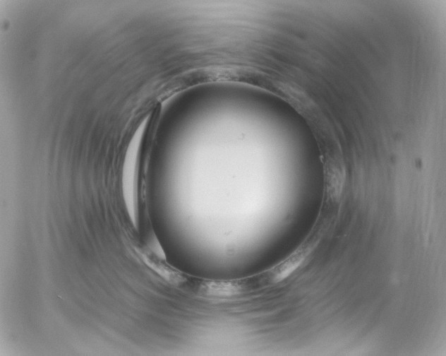 X0000052550766200507221451