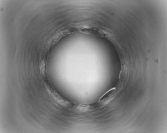 X0000052550767200507221451