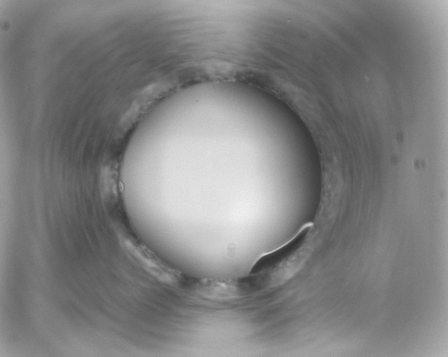 X0000052550768200507221451