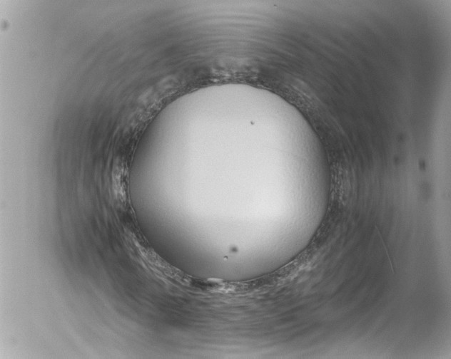 X0000052550770200507221450